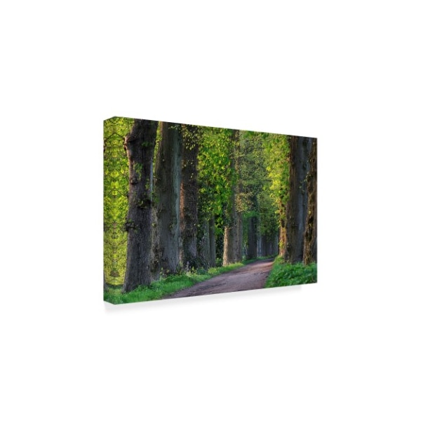 Istvï¿½n Nagy 'Light Green Forest Road' Canvas Art,16x24